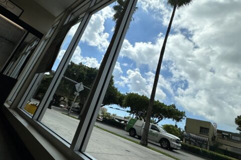 Windows cleaning